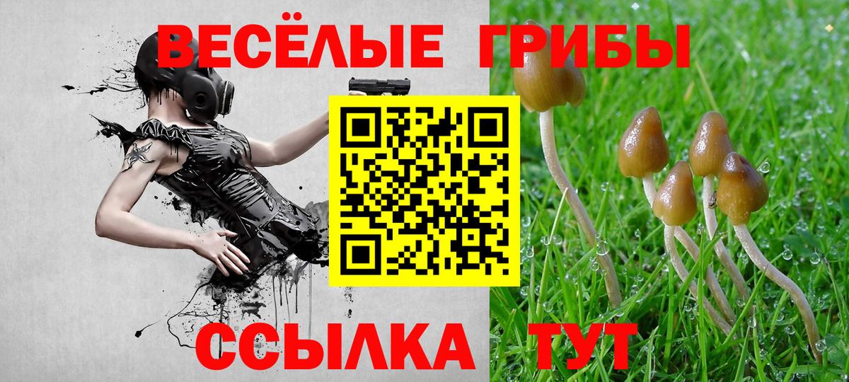 Псилоцибиновые грибы прущие грибы Сосновоборск