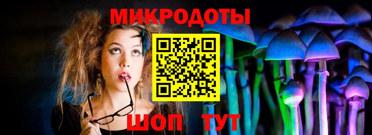 Сосновоборск  Псилоцибиновые грибы Cubensis  Галлюциногенные грибы мухоморы  Вход с VPN 